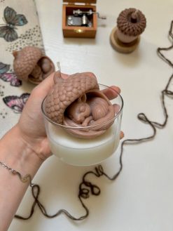 شمع جار شیشه ای سنجاب