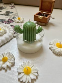 شمع جار کاکتوس