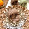 شمع سنجاب خوابیده